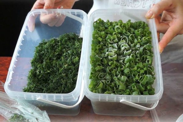 Запасливая хозяйка уже наморозила зелень на зиму, покажет, как сохранить ее аромат до Нового года