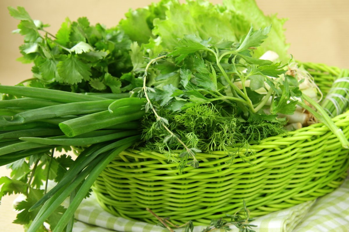 Почему я готовлю зеленую аджику вместо обычной Почему я готовлю зеленую аджику вместо обычной Вдохновение,Кулинария,Зелень,Овощи,Перец,Соусы