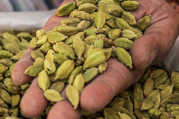 В обязательном порядке жую кардамон! Да-да, вы не ослышались, кардамон.