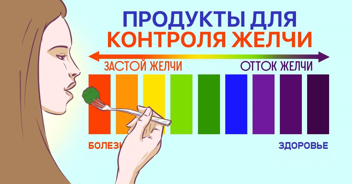 Желчегонные средства презентация