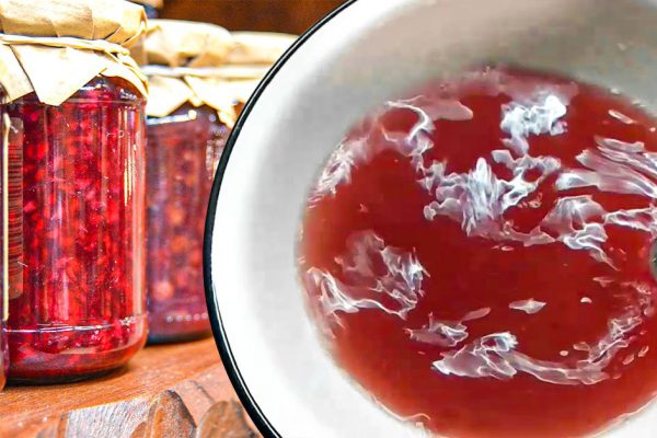 Если встречаю баночку старого варенья на кухне, тут же развожу желатин и подаю праздничный десерт к ужину