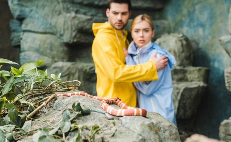 женская природа