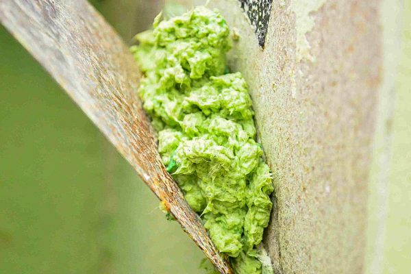 Он нарезал листы бумаги и замочил в воде, чтобы получить универсальную смесь для отделки стен!