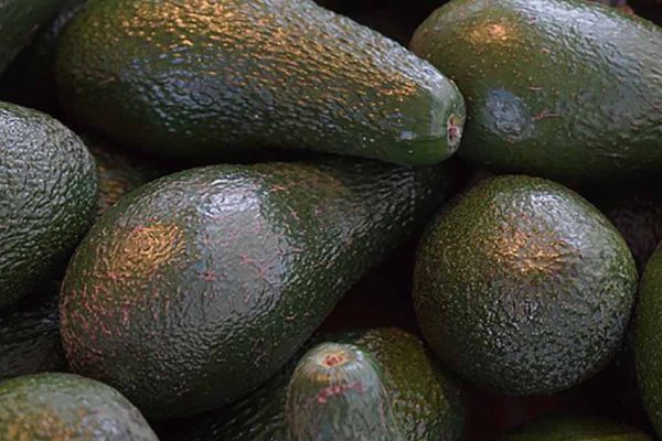 Диета, при которой «голодает» рак и проходит диабет! Чтобы впустить целительный жир в свою жизнь, нужно…