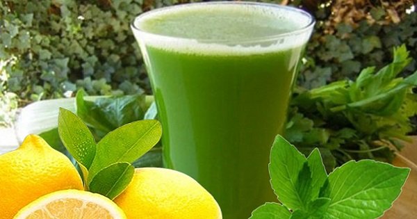 Жиросжигающий коктейль из киви: этот рецепт поможет тебе обрести желанную стройность!