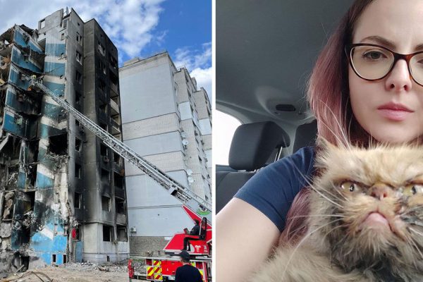 Фотограф запечатлел котиков во время войны, оставленных хозяевами на растерзание судьбы