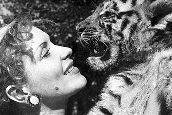 Жизнь Маргариты Назаровой: таинственная судьба «Укротительницы тигров»