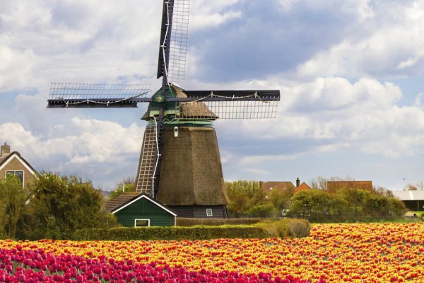 Колоритные особенности жизни в Нидерландах