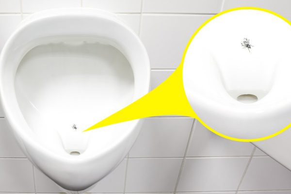 Творческий подход голландцев к чистоте в уборных и на улицах