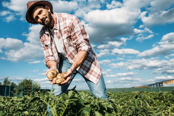 Сын маминой подруги продал квартиру и купил дом в деревне, мама ставит его в пример