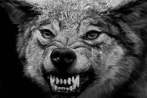 Эти 2 Знака Зодиака — жестокие и опасные люди. Мы научим, что нужно делать!