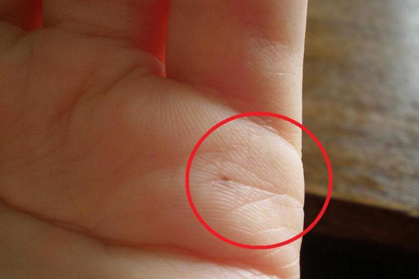 Читаем по руке: что расскажет линия брака о твоих отношениях.