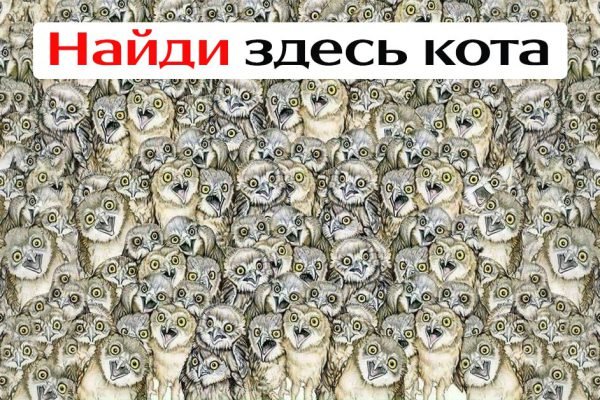 Смотрю на картинку уже 15 минут и никак не могу понять, где здесь кот, попробуй сам, может, ты справишься лучше